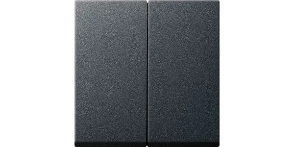 GIRA Systeem 55 Bedieningswip serie/wissel-wissel Antraciet 029528 (oud model)