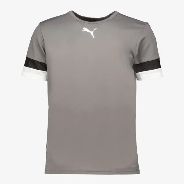 Puma Teamliga Jersey heren sport T-shirt grijs
